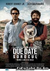 Due Date - Sorocul (2010)